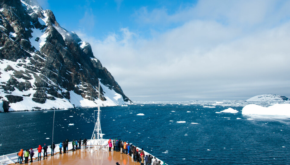 Krilltokt i Antarktis er et av de marine forskningsprosjektene som regjeringen går inn for å finansiere. I statsbudsjettet er 11 millioner satt av til dette.  (Foto: Shutterstock)