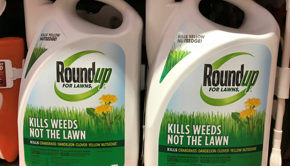 Monsanto var først ute med å produsere ugressmidler med glyfosat, under merkenavnet RoundUp. Etter at patentet gikk ut har også andre produsenter kommet med sine glyfosat-produkter.  (Foto: REUTERS/Mike Blake)