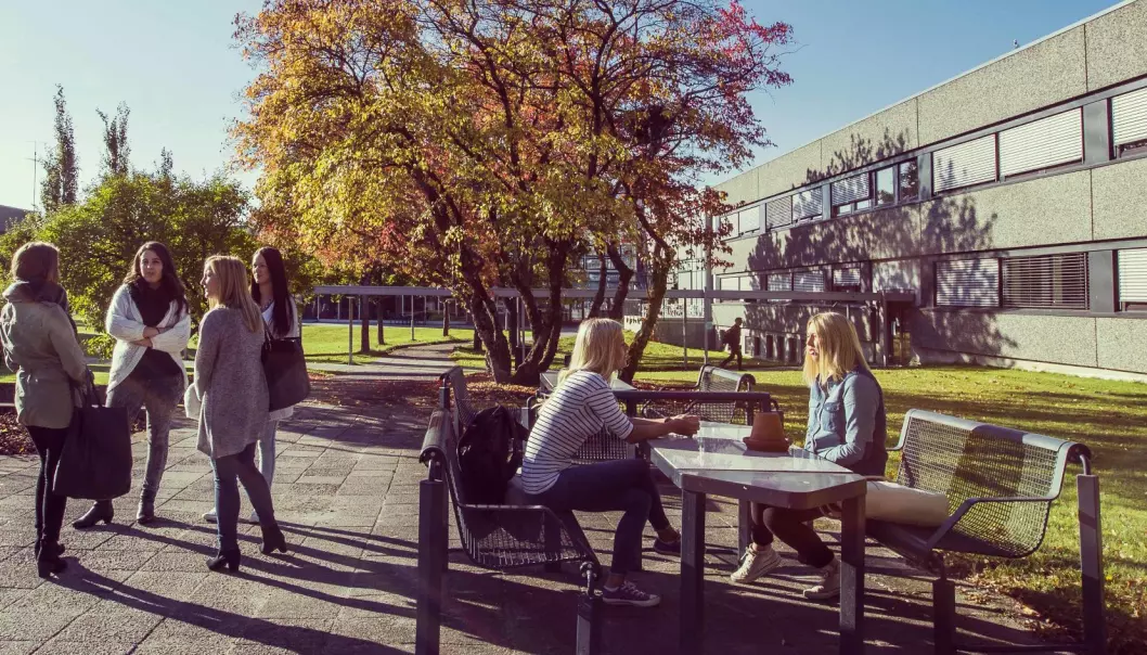 Campus Porsgrunn er en del av Universitetet i Sørøst-Norge. (Foto: Tine Poppe)