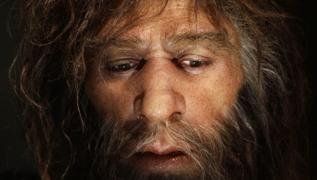 Denne rekonstruksjonen av en neandertal-mann står i Kroatia, nær hulene hvor forskerne har undersøkt neandertal-DNA. (Illustrasjonsbilde: Nikola Solic/Reuters/NTB Scanpix) Denne rekonstruksjonen av en neandertal-mann står i Kroatia, nær hulene hvor forskerne har undersøkt neandertal-DNA. (Illustrasjonsbilde: Nikola Solic/Reuters/NTB Scanpix)