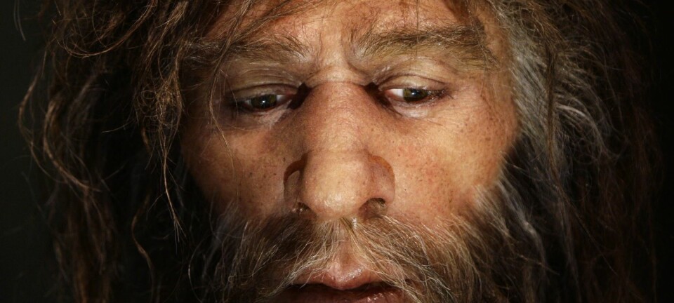 Denne rekonstruksjonen av en neandertal-mann står i Kroatia, nær hulene hvor forskerne har undersøkt neandertal-DNA. (Illustrasjonsbilde: Nikola Solic/Reuters/NTB Scanpix)