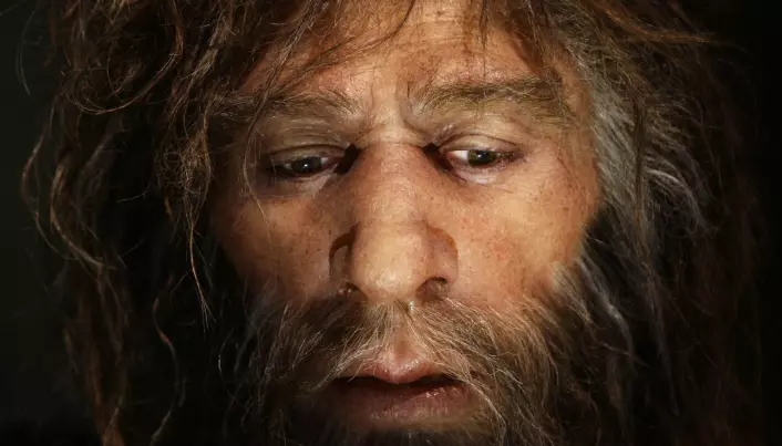 En neandertal fra Kroatia viser hvor mange av genene deres vi har nå
