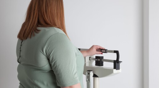 Podcast: Spør en forsker: Hvorfor er det så vanskelig å gå ned i vekt?