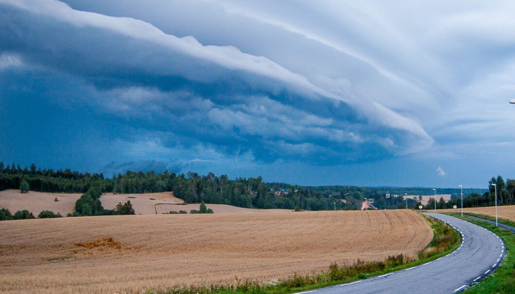 Jo mer det regner, jo mer blir viktige næringsstoffer vasket bort fra jordbruket. Forsker oppfordrer nå til enda mer målrettede tiltak for å hindre at stoffene forsvinner ut i naturen. (Foto: Erling Fløistad/NIBIO) Jo mer det regner, jo mer blir viktige næringsstoffer vasket bort fra jordbruket. Forsker oppfordrer nå til enda mer målrettede tiltak for å hindre at stoffene forsvinner ut i naturen. (Foto: Erling Fløistad/NIBIO)