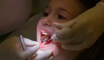 Spesiell bakterie kan gi mange hull i tennene