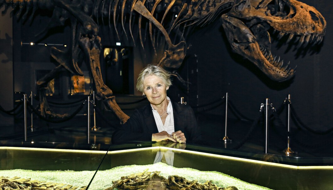 Musemsdirektør Tone Lindheim hadde samtaler med de ansatte da hun startet i jobben ved Naturhistorisk museum i 2015. Notatene fra disse møtene er nå kopiert opp og spredd på museet og universitetet. (Foto: Signe Dons, Aftenposten, NTB scanpix) Musemsdirektør Tone Lindheim hadde samtaler med de ansatte da hun startet i jobben ved Naturhistorisk museum i 2015. Notatene fra disse møtene er nå kopiert opp og spredd på museet og universitetet. (Foto: Signe Dons, Aftenposten, NTB scanpix)