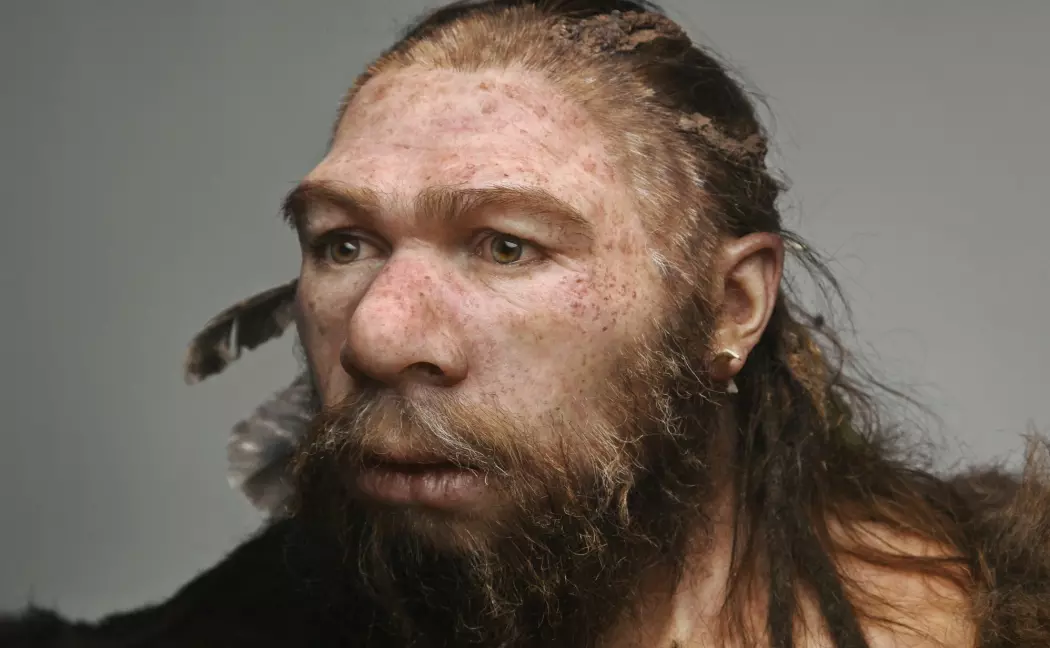 Neandertalerne er blir vurdert, revurdert og gjenvurdert de siste tiårene – de har fremstått som stadig likere oss, stadig mer avanserte med hensyn til fysiologi, adferd, kultur og kreativitet. Det er flere år siden vi sluttet å tenke på dem som et blindspor, en evolusjonær tabbe, skriver Erik Tunstad. (Foto: Science Photo Library)