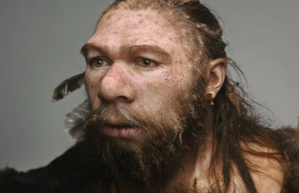 Kommentar: Neandertalerne lever videre i oss