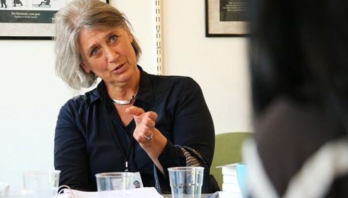 Seniorrådgiver i Utenriksdepartementet, Signe Ihlen Tønsberg, har fulgt arbeidet tett og har vært med på mange av samlingene de siste årene. (Foto: Fillip-André Baarøy) Seniorrådgiver i Utenriksdepartementet, Signe Ihlen Tønsberg, har fulgt arbeidet tett og har vært med på mange av samlingene de siste årene. (Foto: Fillip-André Baarøy)
