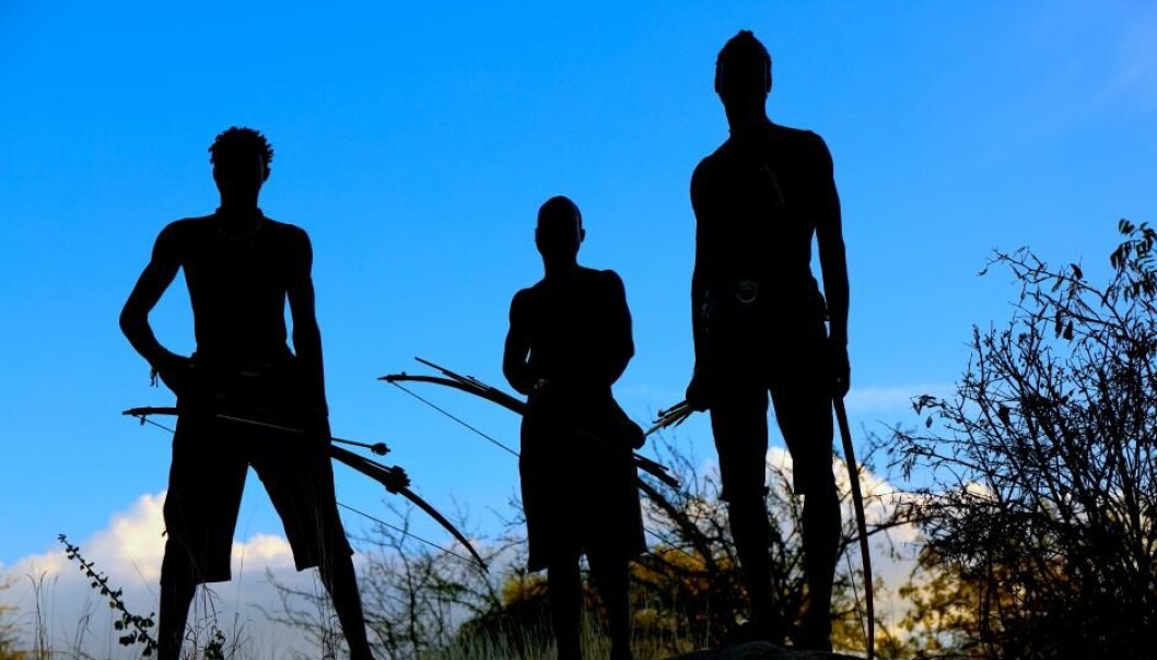 Om lag 200 medlemmer av det afrikanske hadzafolket lever som jegere og sankere på fulltid. Ny forskning tyder på at det gir dem en helt unik, mangfoldig og sunn sammensetning av tarmbakterier. (Foto: Human Food Project, Jeff Leach) Om lag 200 medlemmer av det afrikanske hadzafolket lever som jegere og sankere på fulltid. Ny forskning tyder på at det gir dem en helt unik, mangfoldig og sunn sammensetning av tarmbakterier. (Foto: Human Food Project, Jeff Leach)