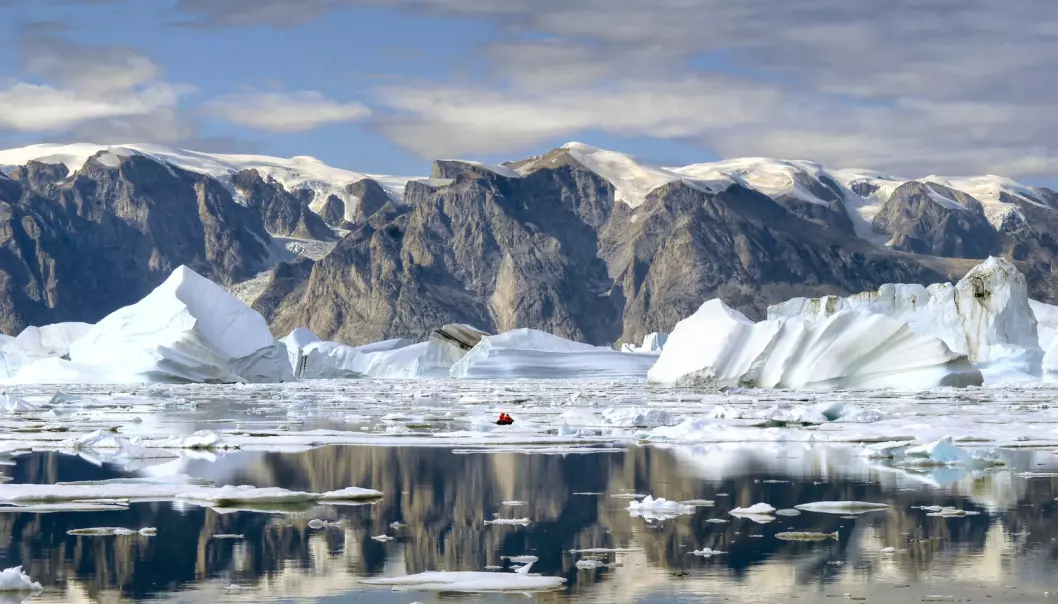 Torskelarvar frå Lofoten kan hamne ved Nordaust-Grønland