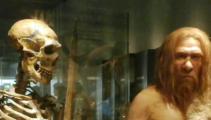 Hvor gode var neandertalerne til å bruke hendene?