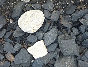 Så forskjellig kan stein være – løse blokker på stranda reflekterer ofte geologien i berget – på Røykneset på Hinnøya kartla vi både lyse kalksteiner og mørke amfibolitter (Foto: Ane K. Engvik) Så forskjellig kan stein være – løse blokker på stranda reflekterer ofte geologien i berget – på Røykneset på Hinnøya kartla vi både lyse kalksteiner og mørke amfibolitter (Foto: Ane K. Engvik)