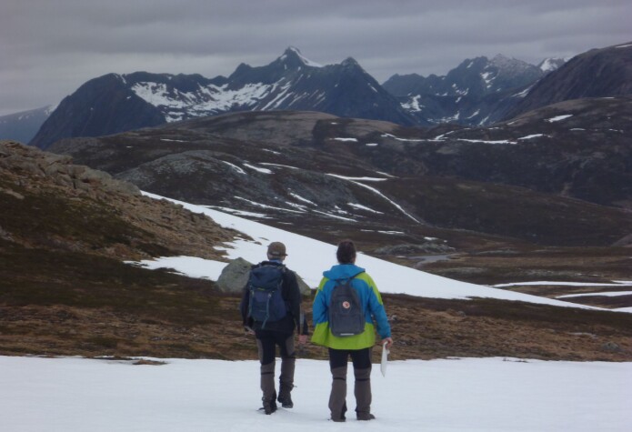 Utenom allfarvei – Bogeheia på Hinnøya (Foto: Ane K. Engvik) Utenom allfarvei – Bogeheia på Hinnøya (Foto: Ane K. Engvik)