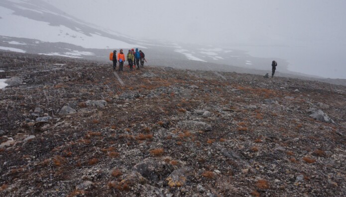 Når man står i snødrevet på Svalbard i starten av juli så tenker man ikke først og fremst at tørke er et stort problem. Men noen steder i Arktis vil klimaendringene føre med seg en nedgang i mengden nedbør. Da hjelper det ikke om det samtidig blir varmere. Varmt og tørt kan være like ugunstig for plantevekst som kaldt og fuktig. (Foto: Anders L. Kolstad, NTNU Vitenskapsmuseet, CC BY-SA 4.0.) Når man står i snødrevet på Svalbard i starten av juli så tenker man ikke først og fremst at tørke er et stort problem. Men noen steder i Arktis vil klimaendringene føre med seg en nedgang i mengden nedbør. Da hjelper det ikke om det samtidig blir varmere. Varmt og tørt kan være like ugunstig for plantevekst som kaldt og fuktig. (Foto: Anders L. Kolstad, NTNU Vitenskapsmuseet, CC BY-SA 4.0.)