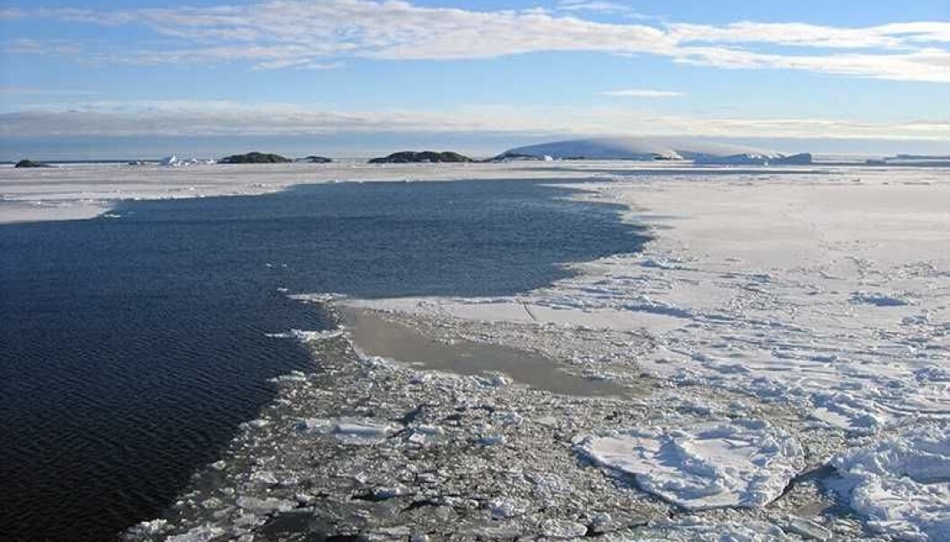 Et belte med åpent vann strakte seg i Arktis under forrige istid. (Foto: Matthias Forwick) Et belte med åpent vann strakte seg i Arktis under forrige istid. (Foto: Matthias Forwick)