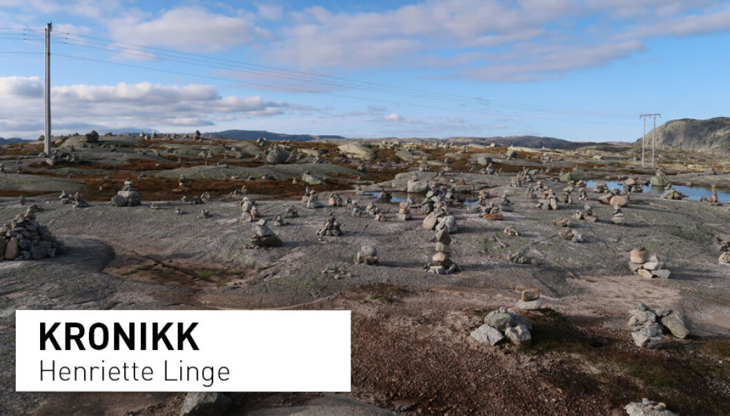 Høy tetthet av småvarder ved Lysevegens høyeste punkt. Lysevegen går mellom Lysebotn i Rogland og Sirdal i Vest-Agder. (Foto: Henriette Linge) Høy tetthet av småvarder ved Lysevegens høyeste punkt. Lysevegen går mellom Lysebotn i Rogland og Sirdal i Vest-Agder. (Foto: Henriette Linge)