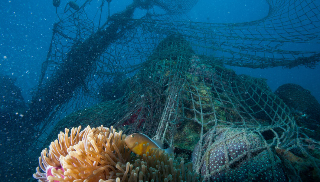 Gamle fiskegarn utgjør et betydelig miljøproblem. (Foto: Shutterstock / NTB scanpix) Gamle fiskegarn utgjør et betydelig miljøproblem. (Foto: Shutterstock / NTB scanpix)