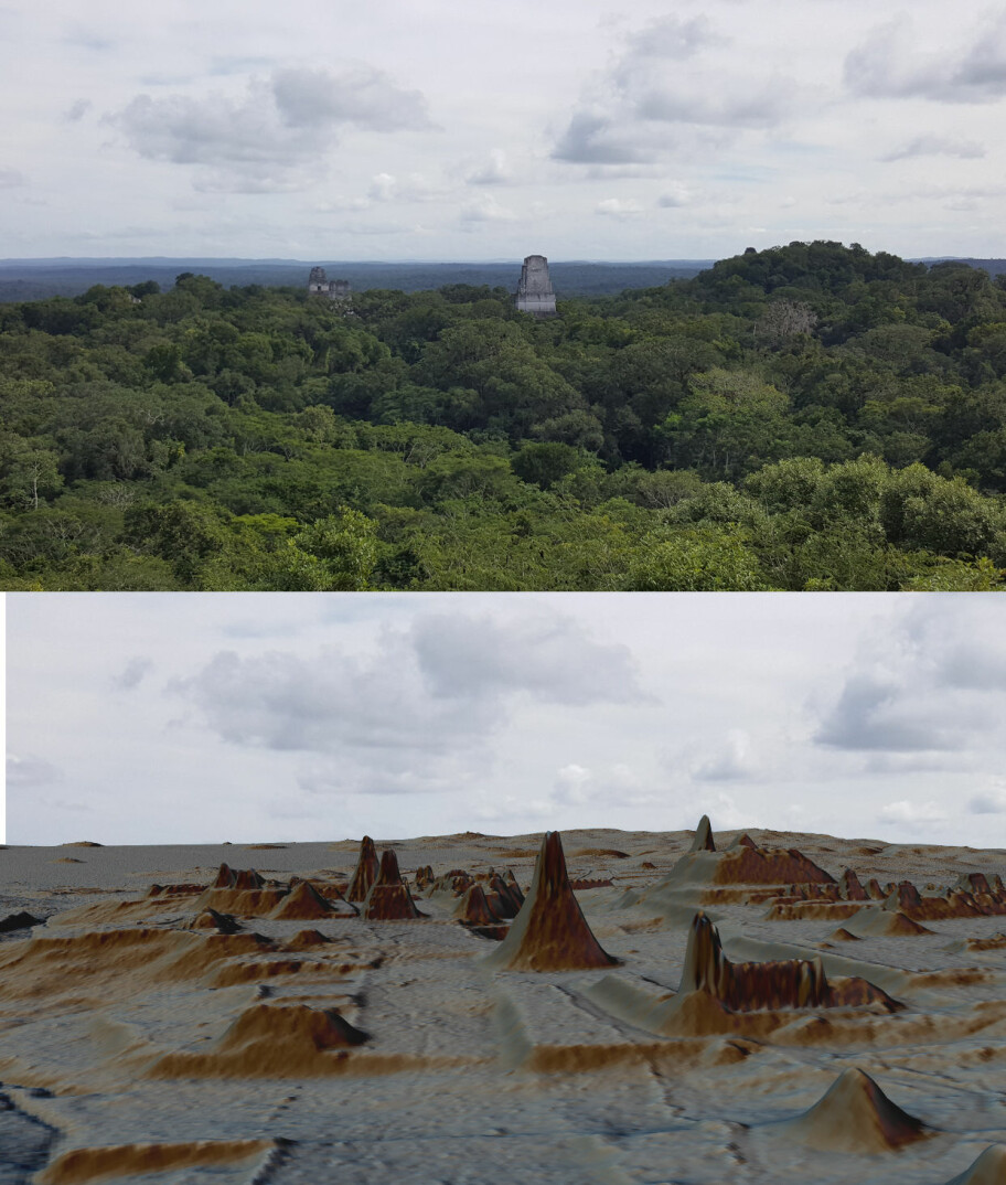 Bildet viser et område i Tikal, både som foto og som lidar-bilde. (Bilde: Luke Auld Thomas/Marcello A Canuto/PACUNAM))