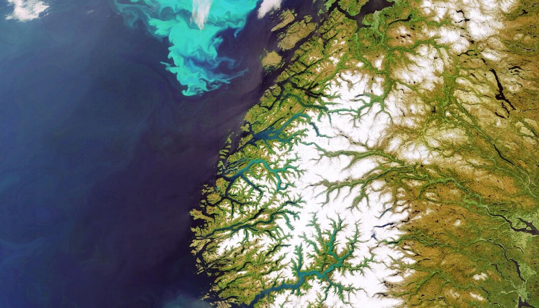 At plankton er selve grunnlaget for næringspyramiden i havet, er godt kjent. Nå viser det seg at oppblomstringen av planteplankton til havs også kan påvirke forekomsten av mikronæringsstoffer i næringskjeder på land. (Foto: ESA) At plankton er selve grunnlaget for næringspyramiden i havet, er godt kjent. Nå viser det seg at oppblomstringen av planteplankton til havs også kan påvirke forekomsten av mikronæringsstoffer i næringskjeder på land. (Foto: ESA)