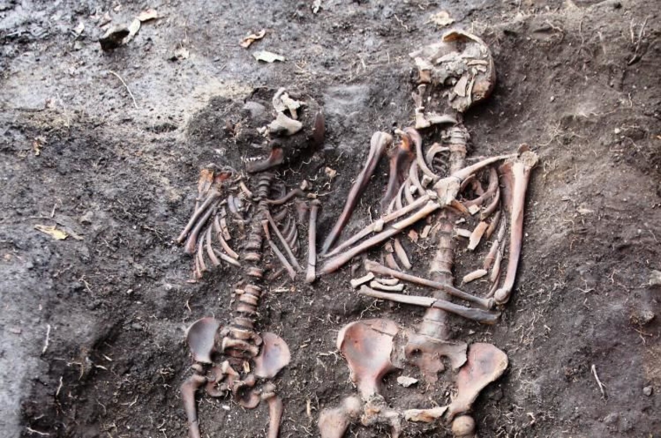 Mor og barn - sammen i døden. Forskning på 600 år gamle Oslo-borgere kan gi oss ny innsikt om menneskenes helsehistorie. (Foto: Lars Haugesten /NIKU). Mor og barn - sammen i døden. Forskning på 600 år gamle Oslo-borgere kan gi oss ny innsikt om menneskenes helsehistorie. (Foto: Lars Haugesten /NIKU).