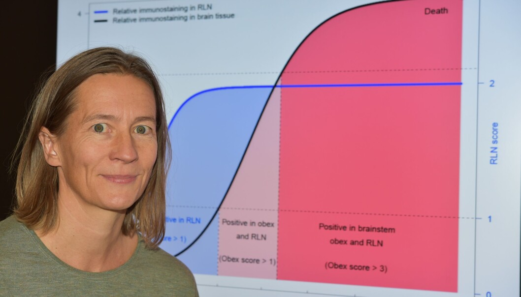Hildegunn Viljugrein er seniorforsker ved Veterinærinstituttet (Foto: Vetinst) Hildegunn Viljugrein er seniorforsker ved Veterinærinstituttet (Foto: Vetinst)