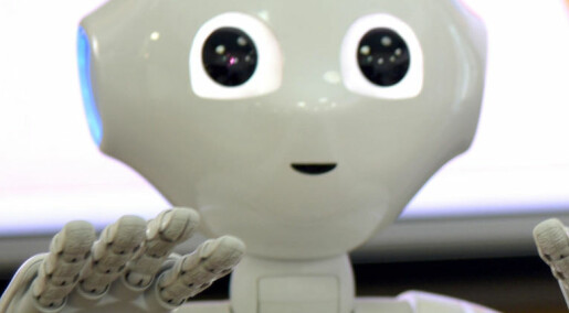 Japan takler eldrebølgen med roboter