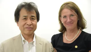 Kimiya Ishikawa og Bettina S. Husebø har ulike tilnærminger til eldreomsorg. (Foto: Kim E. Andreassen / Universitetet i Bergen) Kimiya Ishikawa og Bettina S. Husebø har ulike tilnærminger til eldreomsorg. (Foto: Kim E. Andreassen / Universitetet i Bergen)
