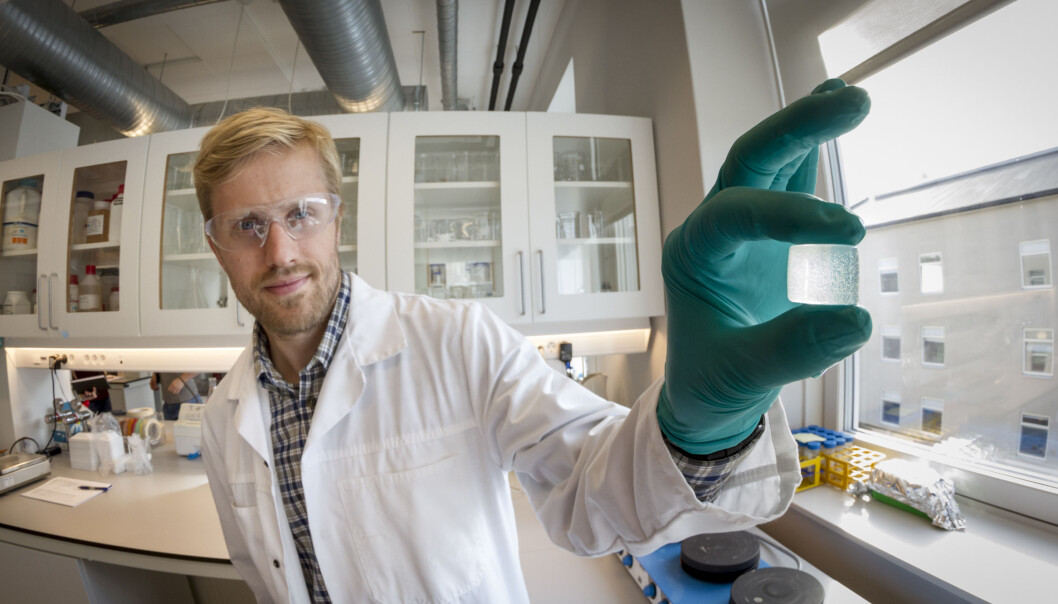 SINTEF-forsker og bioteknolog Øystein Arlov viser fram en alginatgelé som bokstavelig talt danner grobunn for de kunstige bruskcellene. (Foto: Thor Nielsen) SINTEF-forsker og bioteknolog Øystein Arlov viser fram en alginatgelé som bokstavelig talt danner grobunn for de kunstige bruskcellene. (Foto: Thor Nielsen)