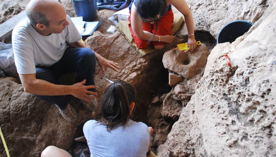 I en hule i Israel fant arkeologene en steinaldergravplass. De tror at den natufiske kulturen brukte groper i bakken til å brygge øl. (Foto: Dani Nadel, University of Haifa)