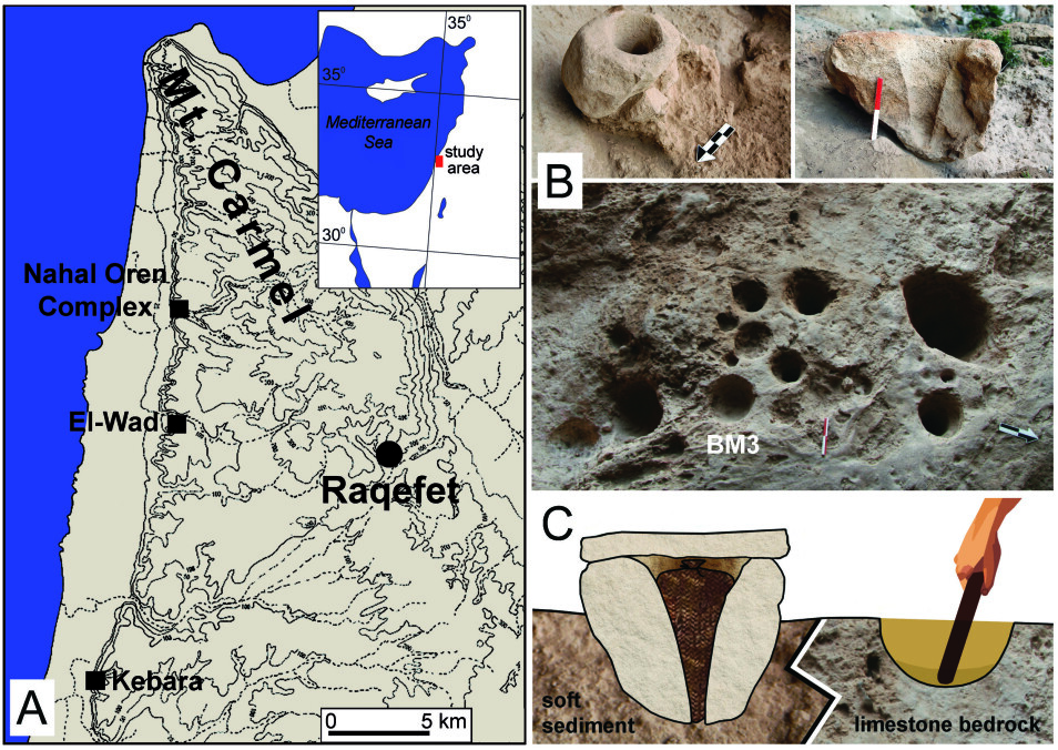 Illustrasjonen nederst til høyre viser beholderne som kan ha blitt brukt til å oppbevare kornet og gropene i bakken der kornet ble knust. (Illustrasjon: Elsevier, Journal of Archaeological Science Reports. Foto: Dror Maayan, grafisk design: Anat Regev-Gisis)