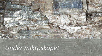 Slik ser mineralet kyanitt ut under mikroskopet