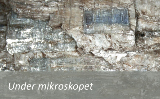 Slik ser mineralet kyanitt ut under mikroskopet