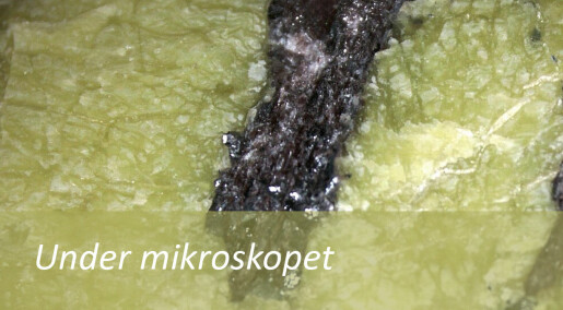 Slik ser mineralet serpentin ut under mikroskopet