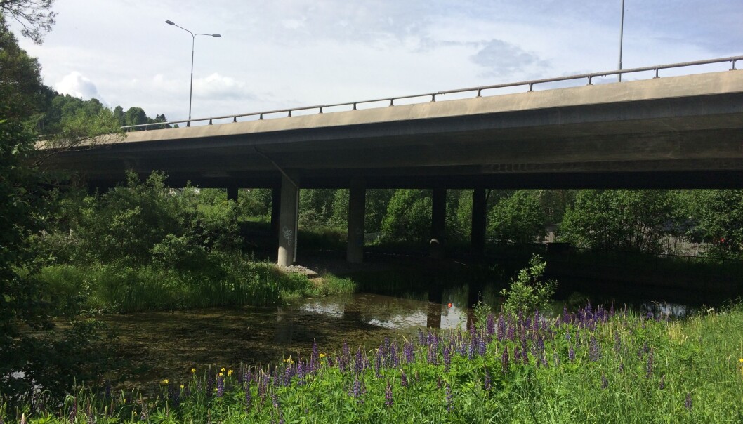 De fleste steder renner vann fra bilveier rett ut i naturen. Men langs de nye, større hovedveiene er det ofte bygd sedimentasjonsdammer. Her er et basseng som ligger på Skullerud i Oslo. (Foto: NIVA) De fleste steder renner vann fra bilveier rett ut i naturen. Men langs de nye, større hovedveiene er det ofte bygd sedimentasjonsdammer. Her er et basseng som ligger på Skullerud i Oslo. (Foto: NIVA)