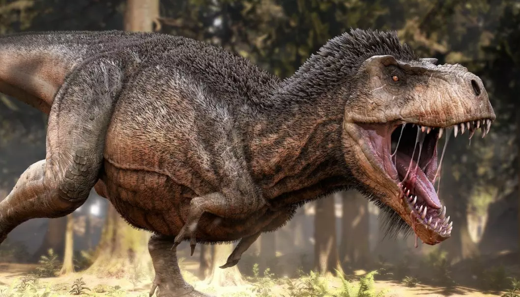 Hadde T-rex fjær?