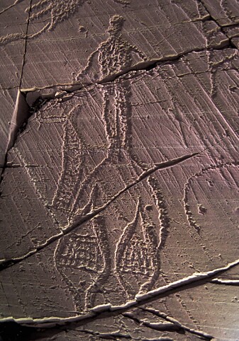 Truger er ingen ny oppfinnelse! Denne kan være så gammel som 7000 år gammel. Antakelig var truger viktig for å komme seg rundt og på jakt. Helleristningen er fra Alta. (Foto © Jan Magne Gjerde) Truger er ingen ny oppfinnelse! Denne kan være så gammel som 7000 år gammel. Antakelig var truger viktig for å komme seg rundt og på jakt. Helleristningen er fra Alta. (Foto © Jan Magne Gjerde)