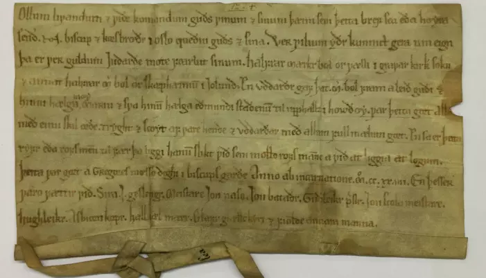 Dette brevet er datert 12. mars 1225. Det kan være et av de eldste skriftlige tilfellene av datering vi kjenner til i dag. (Foto: Jo Rune Ugulen/Riksarkivet)