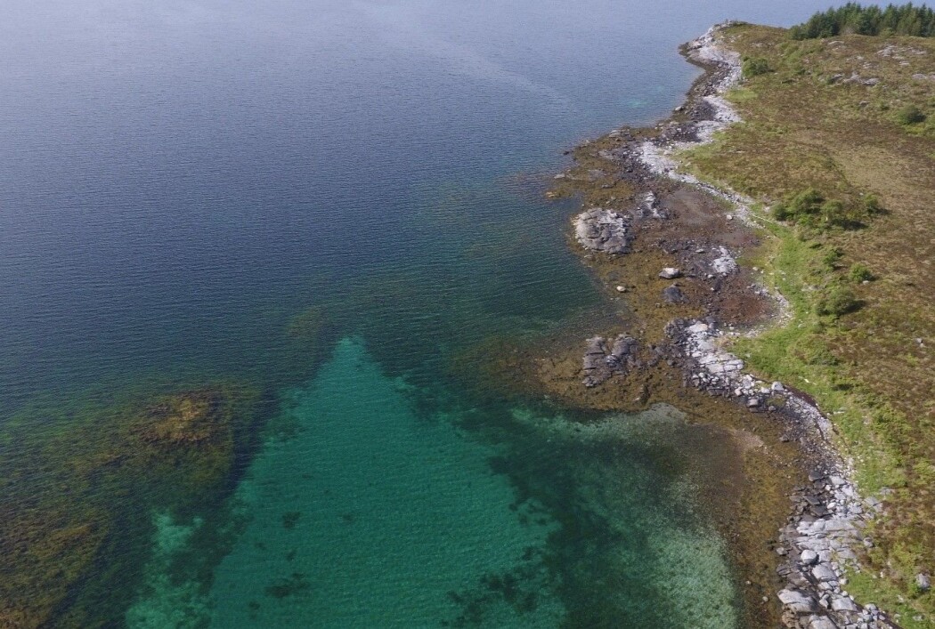 Vanlegvis når forskarar skal kartlegge fjøresona, går dei rundt og registrerer tang og tare manuelt. Men no kan forskarane bruke drone i standen for å kartlegge manuelt. (Foto: NIVA) Vanlegvis når forskarar skal kartlegge fjøresona, går dei rundt og registrerer tang og tare manuelt. Men no kan forskarane bruke drone i standen for å kartlegge manuelt. (Foto: NIVA)