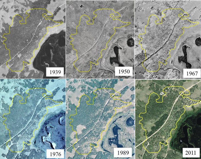 72 år med flyfoto av området viser at Pando er blitt vesentlig mer glissen med tida. (Foto: USDA Aerial Photography Field Office, Salt Lake City, Utah.) 72 år med flyfoto av området viser at Pando er blitt vesentlig mer glissen med tida. (Foto: USDA Aerial Photography Field Office, Salt Lake City, Utah.)