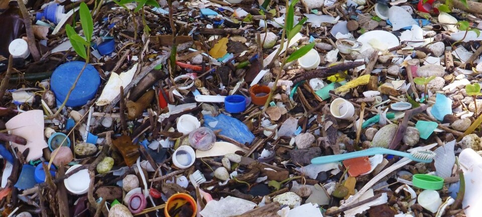 Plasten vi finner skylt opp på strendene våre, er bare en liten del av plastavfallet som har endt opp i havet. Mye synker nemlig til bunns, hvor det sakte, men sikkert brytes ned til mindre og mindre biter.  (Illustrasjonsfoto: Johanna Veldstra / Shutterstock / NTB scanpix)