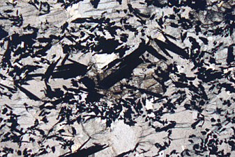 Under mikroskopet ser vi flakformet grafitt som svarte mineraler. (Foto: Ane K. Engvik) Under mikroskopet ser vi flakformet grafitt som svarte mineraler. (Foto: Ane K. Engvik)