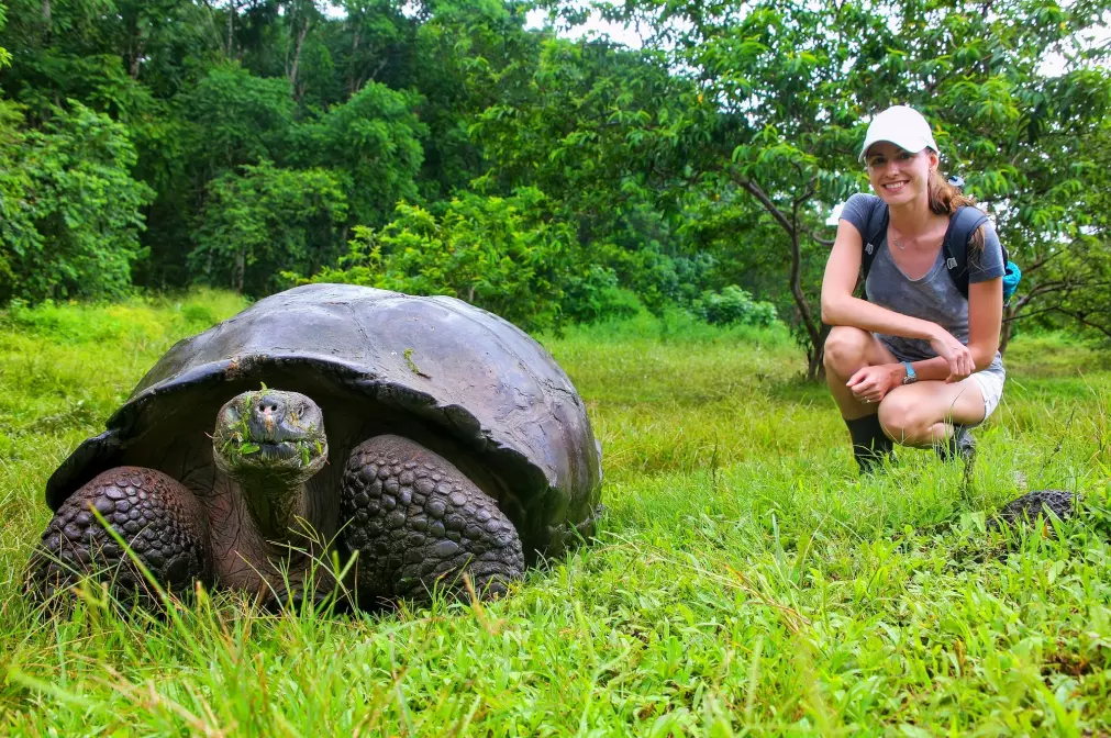 Kjempeskilpadder kan bli over 100 år gamle. Akkurat denne lever på Galápagosøyene. (Foto: Don Mammoser / Shutterstock / NTB scanpix)