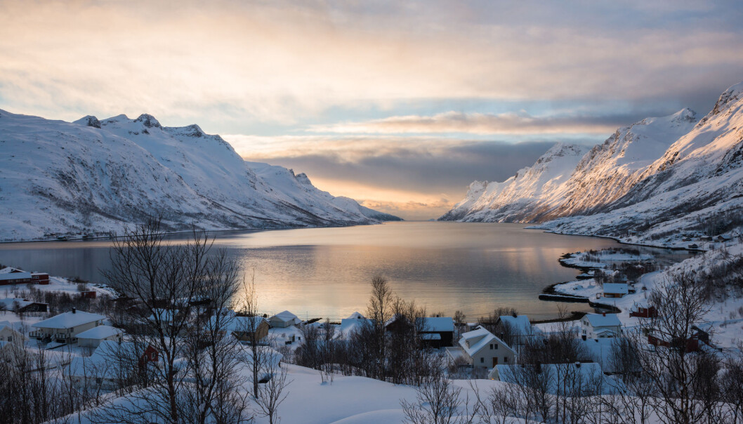 Fordi det er så mange ting som spiller inn, som forurensning, endring i arealbruk og utbygging, er det vanskelig å forutsi hvordan naturen vil påvirkes av klimaendringer. Men noen klare trender ser vi. (Foto: Yongyut Kumsri / Shutterstock / NTB scanpix) Fordi det er så mange ting som spiller inn, som forurensning, endring i arealbruk og utbygging, er det vanskelig å forutsi hvordan naturen vil påvirkes av klimaendringer. Men noen klare trender ser vi. (Foto: Yongyut Kumsri / Shutterstock / NTB scanpix)