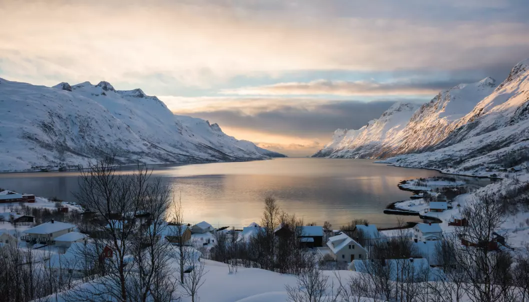 Slik vil klimaendringene påvirke norsk natur