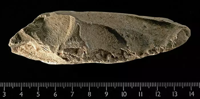Den nær 10.000 år gamle øksen fra Stokke i Vestfold. Den vestre delen har vært satt inn i et skaft. Eggen (til høyre i bildet)har blitt sløvet ved bruk. (Foto: Kirsten Helgeland, KHM)