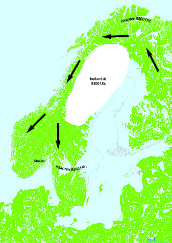 Den smeltende innlandsisen på den skandinaviske halvøy ga jeger- og sankerfolkene en mulighet til å forflytte seg vestover på 8000-tallet f.Kr. Naturforhold og gjenstandsfunn taler for at ruten gikk rundt Bottenviken og sørover på den Skandinaviske halvøy. (Kartgrunnlag: Knut Påsse, SGU) Den smeltende innlandsisen på den skandinaviske halvøy ga jeger- og sankerfolkene en mulighet til å forflytte seg vestover på 8000-tallet f.Kr. Naturforhold og gjenstandsfunn taler for at ruten gikk rundt Bottenviken og sørover på den Skandinaviske halvøy. (Kartgrunnlag: Knut Påsse, SGU)