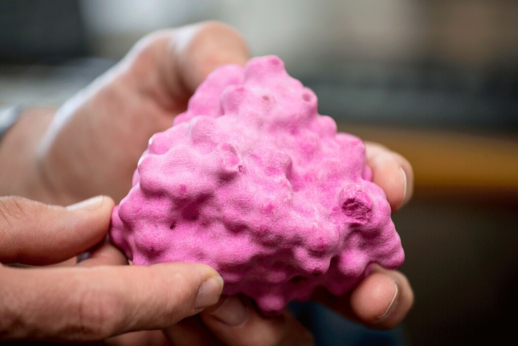 Modellen viser hvordan et enzym kan se ut. – Enzymteknologien er ren. Vi resirkulerer og gjenbruker avfall eller annet materiale som ellers ikke ville bli brukt til noe, for å lage nye produkter, sier forsker. (Foto: Håkon Sparre / NMBU) Modellen viser hvordan et enzym kan se ut. – Enzymteknologien er ren. Vi resirkulerer og gjenbruker avfall eller annet materiale som ellers ikke ville bli brukt til noe, for å lage nye produkter, sier forsker. (Foto: Håkon Sparre / NMBU)