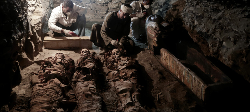 Arkeologer i arbeid ved mumier som er funnet i graven til en framstående gullsmed som levde i Egypt for 3500 år siden. (Foto: Nariman El-Mofty / AP / NTB scanpix)