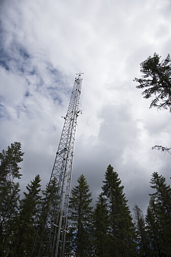 Målestasjonen i Hurdal utvekslingen av CO2 mellom lufta og trærne. (Foto: Lars Sandved Dalen / NIBIO) Målestasjonen i Hurdal utvekslingen av CO2 mellom lufta og trærne. (Foto: Lars Sandved Dalen / NIBIO)